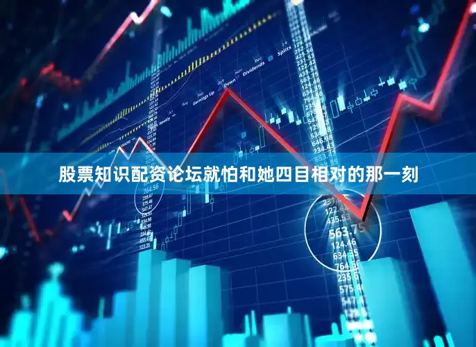股票知识配资论坛就怕和她四目相对的那一刻