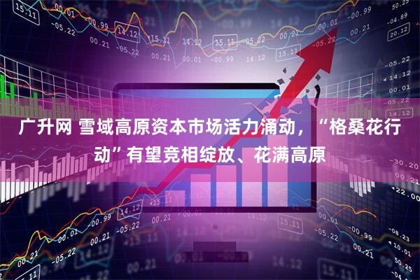 广升网 雪域高原资本市场活力涌动,“格桑花行动”有望竞相绽放、花满高原
